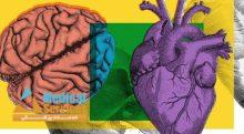 تفاوت سکته قلبی و مغزی,علت های سکته قلبی و مغزی,فرق بین سکته قلبی و مغزی