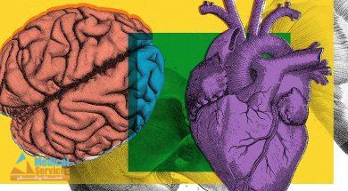 تفاوت سکته قلبی و مغزی,علت های سکته قلبی و مغزی,فرق بین سکته قلبی و مغزی
